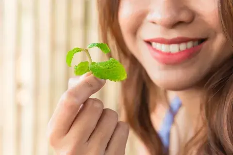 Halitosis remedios