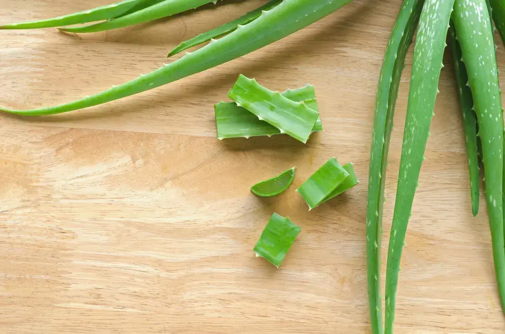 Aloe Vera para los dientes: propiedades y beneficios