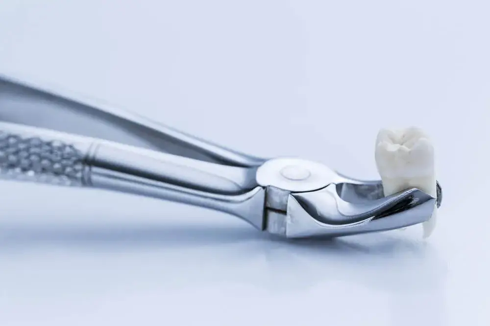 Qué es la dentina dental