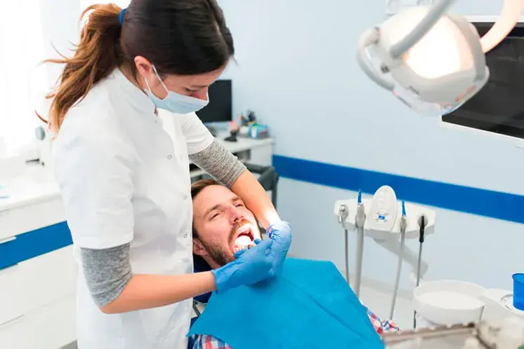 ¿Qué es la endodoncia multirradicular y pasos que sigue?